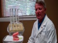 Brushing Technique - Oral Hygiene Instructions By Dr. Berdy, Periodontist Jacksonville, FL 